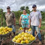 Goiás terá semana de cadastro para agricultura familiar