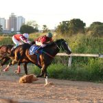 Goiânia: Jóquei Clube alega tombamento do Hipódromo da Lagoinha para isenção do IPTU cobrado pela prefeitura