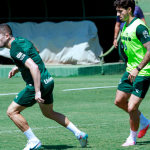 Goiás x Avaí: Onde assistir ao vivo o jogo pelo Campeonato Brasileiro Série B