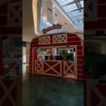 Fazendinha no Flamboyant Shopping: preço, horário, idade e o que tem