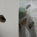 Jovem é executado dentro de casa, na frente na esposa e do filho em Anápolis