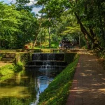 Goiânia tem um córrego escondido embaixo de ruas que muita gente passa sem saber