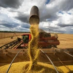 Com 33,8 milhões de toneladas previstas, Goiás mantém a 4ª maior produção de grãos do país