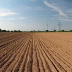 Agrodefesa antecipa para 20 de setembro início do plantio de soja em Goiás