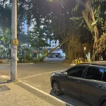 Queda de galho de gameleira no Setor Oeste reacende impasse sobre corte de árvores de risco na capital