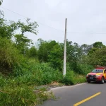 Em buscas por idosa desaparecida, Bombeiros encontram ossada humana, em Goiânia