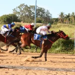 Goiânia terá corrida de cavalos gratuita em comemoração aos 93 anos da capital – Curta Mais