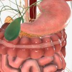 É necessário repor vitaminas após a cirurgia de retirada da vesícula?