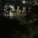 Temporal na noite desta quinta (22) causa alagamentos e quedas de árvores em Goiânia
